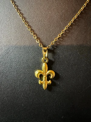 Guldigt halsband med lilja-hänge - Snyggt halsband i guldfärgad metall med ett detaljerat lilja-hänge (fleur-de-lis). Kedjan är tunn och har en klassisk länkdesign som passar till många olika stilar. Perfekt accessoar för dig som gillar unika och stilrena smycken.