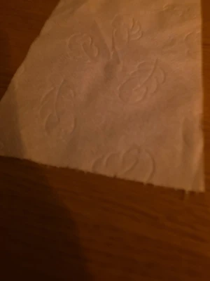 Vitt papper med bladmönster - Säljer ett vitt tomt papper med präglat bladmönster. Pappret är rektangulärt och tunt, perfekt ev. som servett eller till pyssel. Materialet är mjukt och flexibelt.