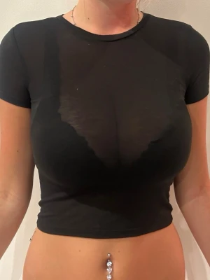 Svart genomskinlig topp  - Säljer en svart, croppad t-shirt med tight passform och korta ärmar. T-shirten är genomskinlig och har en klassisk rund halsringning. 
