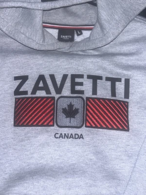 Grå hoodie från Zavetti Canada L - Snygg grå hoodie från Zavetti Canada med stor logga och röd-svart grafiskt tryck på bröstet. Klassisk huva och magficka framtill. Perfekt för dig som gillar streetwear och vill ha en stilren men ändå iögonfallande look.