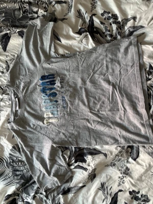 Grå T-shirt från Trapstar - Säljer en grå T-shirt från Trapstar med tryck i blå, vit och grå ton på bröstet. Klassisk passform och rund halsringning. Perfekt för dig som gillar streetwear och vill ha en enkel men snygg tee.
