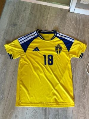 Svensk landslagströja VM - Gul och blå fotbollströja från Adidas med Sveriges landslagsemblem på bröstet och nummer 18 både fram och bak. Namnet 'Ayari' står på ryggen. Klassisk design med blå detaljer och vita ränder på axlarna. Perfekt för match eller supporterhäng.
