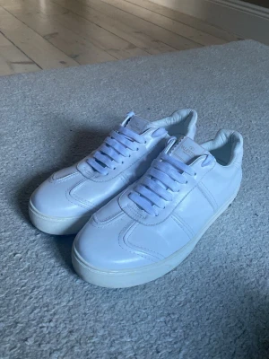 Valentino flycrew - Säljer dessa sällsynta valentino flycrew som jag använt några fåtal gånger men blivit för små. Denna modell säljs inte längre och detta är ett sjukt fräscht exemplar. Det är storlek 44 men skulle säga att de passar mer någon som har 42/43 i skostorlek. Pris går att diskutera. Hör av dig vid funderingar!