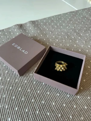 Guld ring från Edblad - Säljer den populära ringen från Edblad med flera små, geometriska former som ger en edgy och modern look. Ringen är bred och har en riktigt snygg design som sticker ut. Perfekt accessoar för att lyfta vilken outfit som helst.