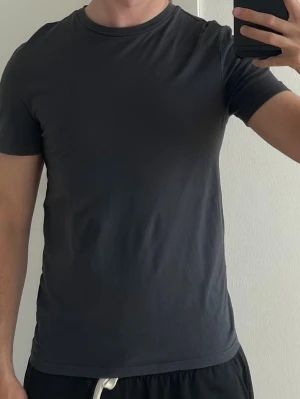 T-shirt  - Grå T-shirt. Storlek S. 