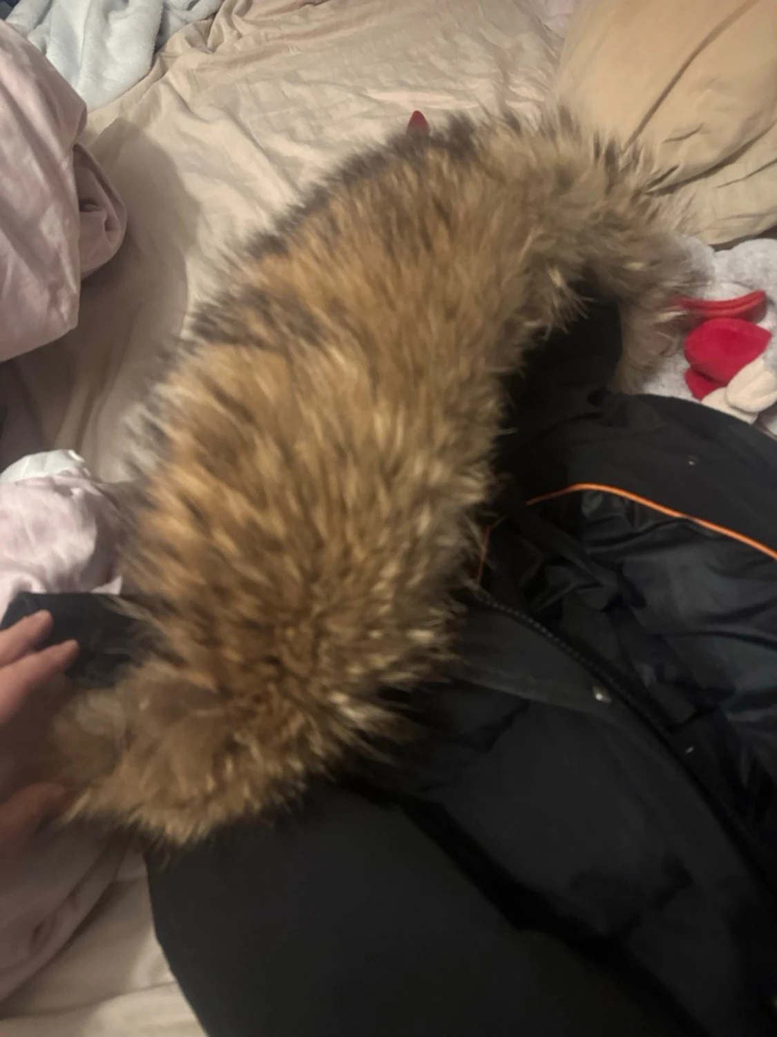 Svart dunjacka med pälskrage från Hollies - 2