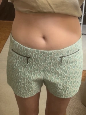 Ljusgröna mönstrade shorts - Säljer ett par ljusgröna shorts med ett diskret leopardmönster. Shortsen har en rak passform och är tillverkade i ett strukturerat tyg som känns både svalt och trendigt. Perfekta för varma dagar och ger en fräsch look till din outfit.