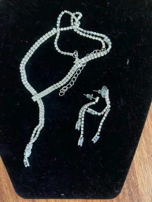 Glittrigt halsband med strassdetaljer - Säljer ett silvrigt halsband med gnistrande strasspärlor i rad, justerbar kedja och elegant droppformad avslutning. Perfekt för dig som vill ha något som verkligen syns och ger extra bling till din outfit. Matchande örhängen medföljer.