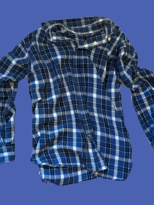 Blårutig skjorta från Polo Ralph Lauren - Säljer en klassisk blårutig skjorta från Polo Ralph Lauren. Skjortan har långa ärmar, knappar framtill och är gjord i mjuk bomull. Perfekt för dig som gillar en avslappnad men ändå stilren look.
