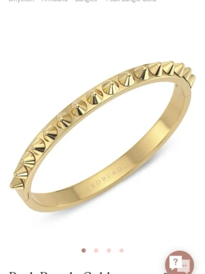 Edblad armband - Fin armband från Edblad i guld, original priset är 600 men säljer för billigare då jag inte använder den!!
