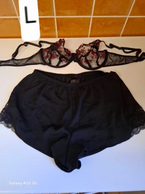 Svart spets-set från H&M, storlek L - Säljer ett snyggt underklädesset från H&M i storlek L. Setet består av en svart mesh-bh med röda och rosa broderade blommor samt matchande svarta shorts med spetsdetaljer vid benen. Perfekt för dig som gillar feminina och trendiga detaljer.