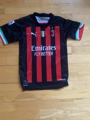 AC Milan matchtröja Puma svart/röd - Snygg AC Milan matchtröja från Puma i svart och rött med klubbmärke, sponsortryck och italienska flaggan på bröstet. Korta ärmar med detaljer i grönt, vitt och rött. Perfekt för fotbollsfans som vill representera sitt lag.