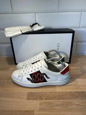 Gucci Ace Snake - Gucci Ace i mycket bra skick🐍| Storlek: 41,5 passar 42,5, innersula: Ca 27,5cm | Og: Box och dust bag | Vid frågor eller diskussion om pris är de är bara att skriva✍🏼| Frakt inom 48h📦