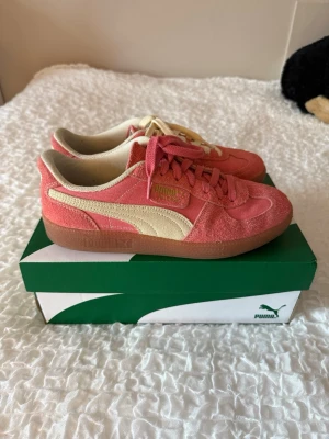 PUMA sneaker 'Palermo' i Korall, Lax - Snygga sneakers från Puma i rosa mocka och textil med beige detaljer och beige sula. Ena skon har rosa snören och den andra har beige snören för en unik look. Klassisk låg modell med Pumas logga i guld på sidan.