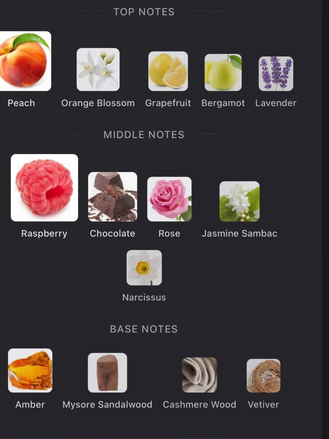 Argos - Birth Of Venus - 5