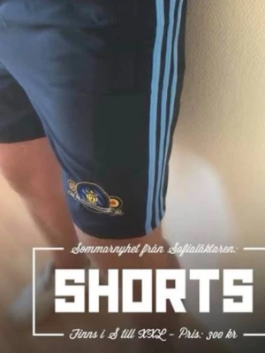 Söker dessa stl m  - söker dessa tveka inte att höra av er om ni är sugna på att sälja 