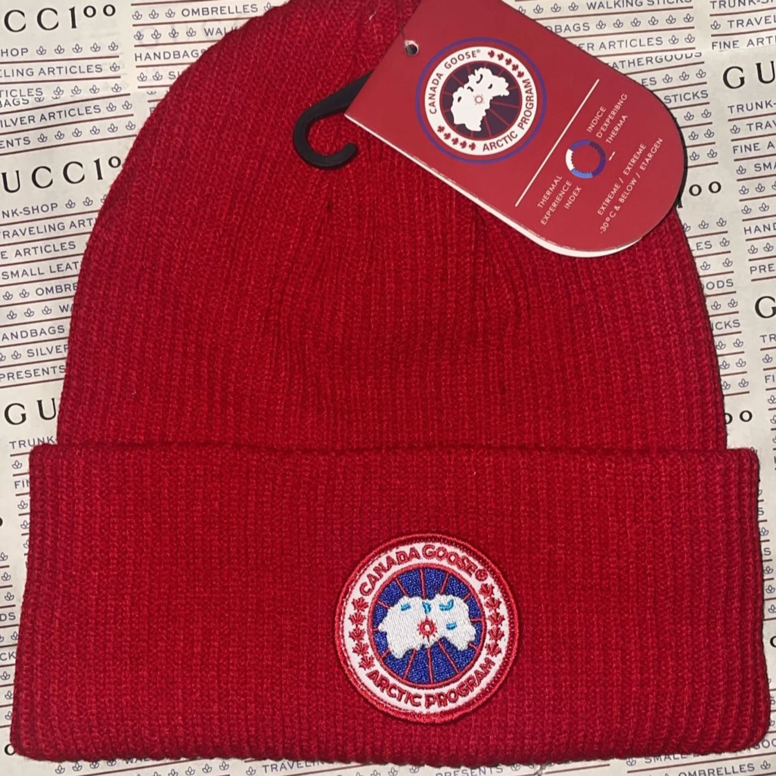 Canada goose vintermössa