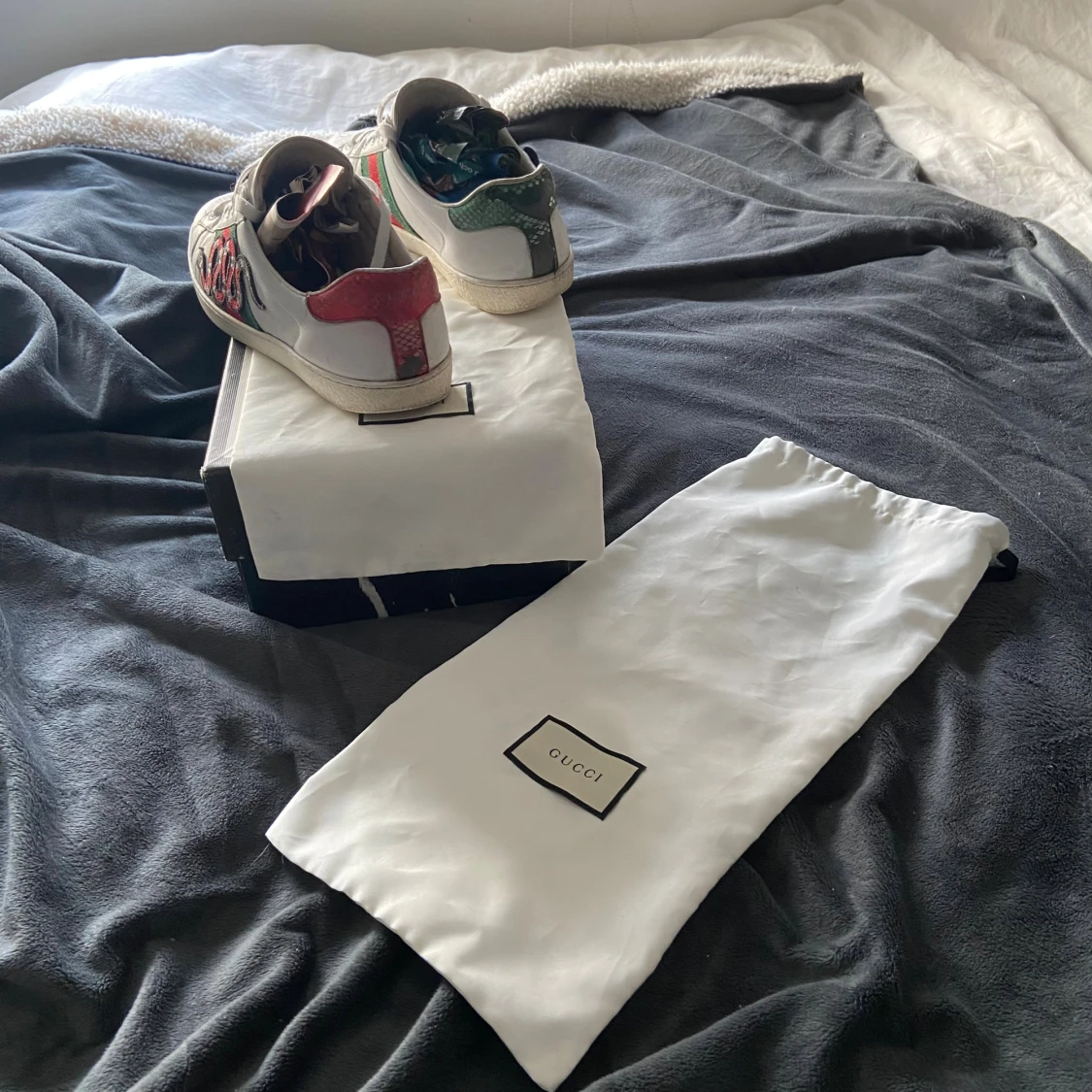 Gucci ace  - 1