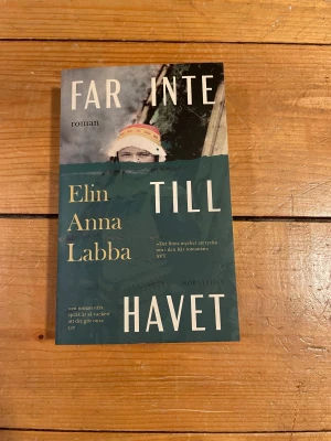 Far inte till havet - En poetisk och gripande roman om tre kvinnor och deras kamp mot hemlöshet och förändring när deras by dränks av ett uppdämt vatten. Perfekt för unga vuxna som vill läsa om motstånd, identitet och samisk kultur.