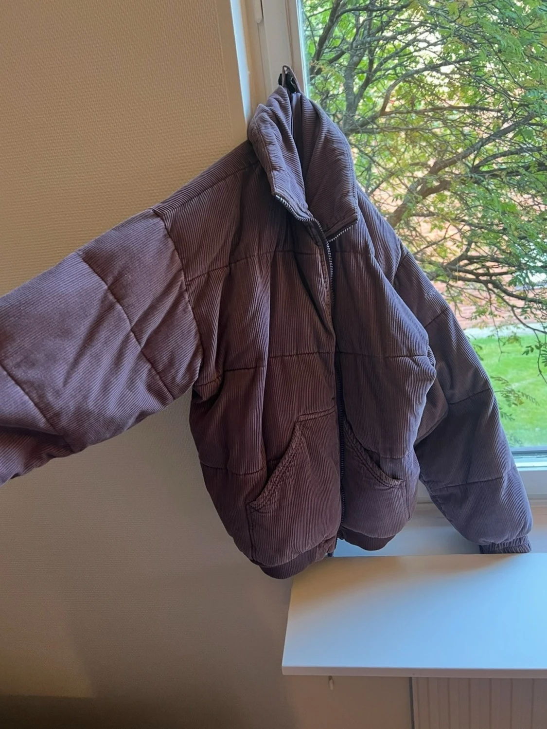 Ljuslila pufferjacka  - 5