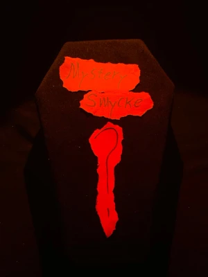 Alternativ mystery bag/smycke - Vet inte riktigt vad du letar efter?  Du gillar Alternativa stilar? NU VET DU!! En mystisk påse med ett mystiskt smycke i Alt stil!! 