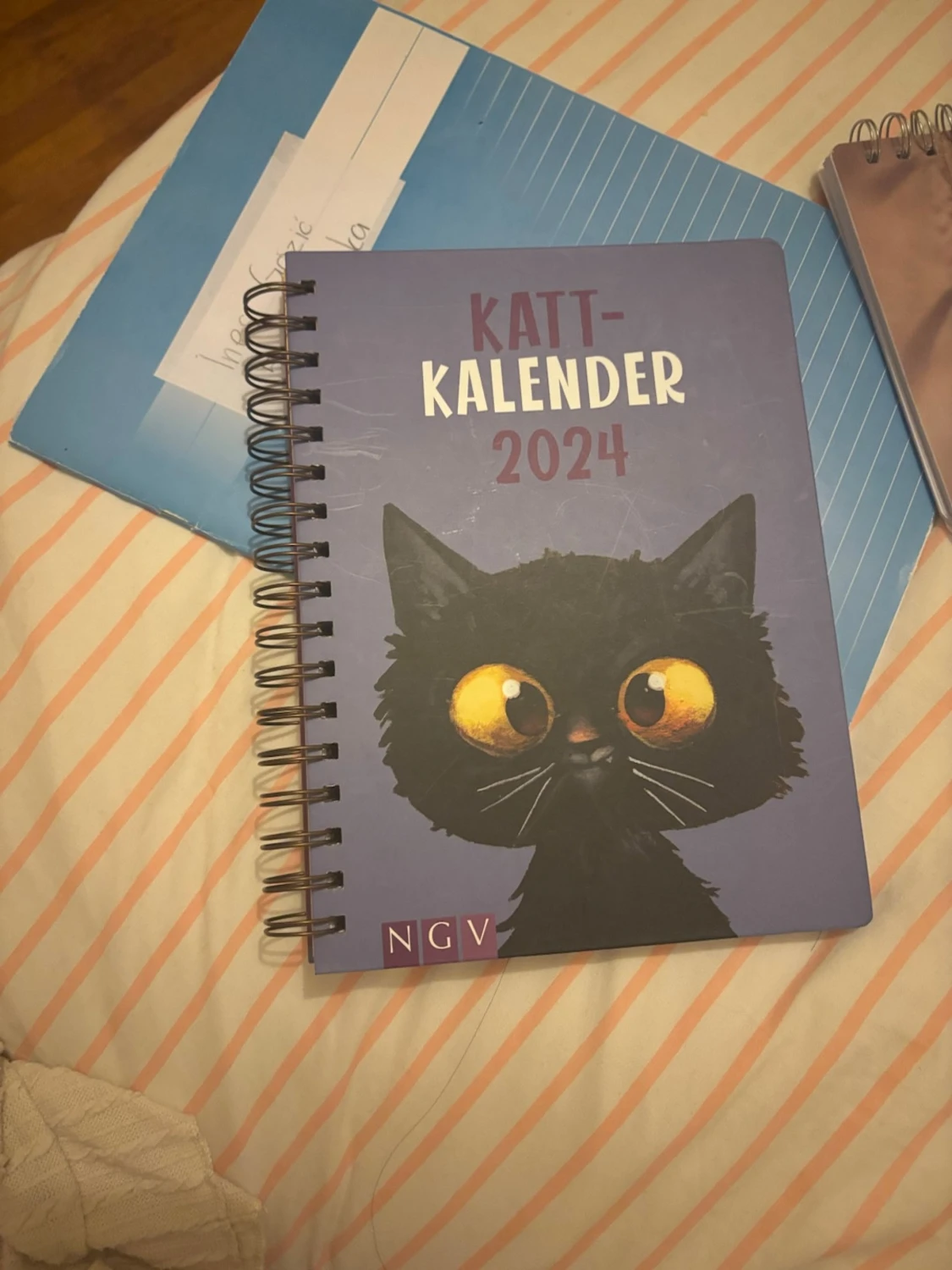 Kattkalender 2024 - 1