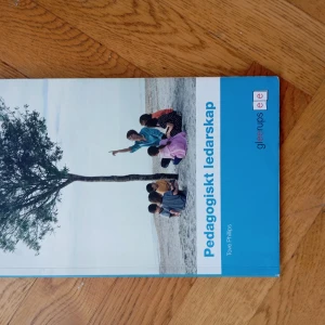 Pedagogiskt ledarskap - En modern kursbok för dig som vill förstå och utveckla ditt ledarskap i pedagogiska miljöer. Perfekt för unga vuxna som pluggar pedagogik eller vill bli bättre på att leda grupper. Inspirerande och lättläst med konkreta exempel och tips.