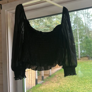Svart blus med volang från Divided - Säljer en svart blus från Divided i storlek L. Toppen har transparenta långärmar, smockad kropp och volangdetaljer vid ärmslut och nederkant. Den är croppad och har en luftig känsla, perfekt för att skapa en cool och trendig look.