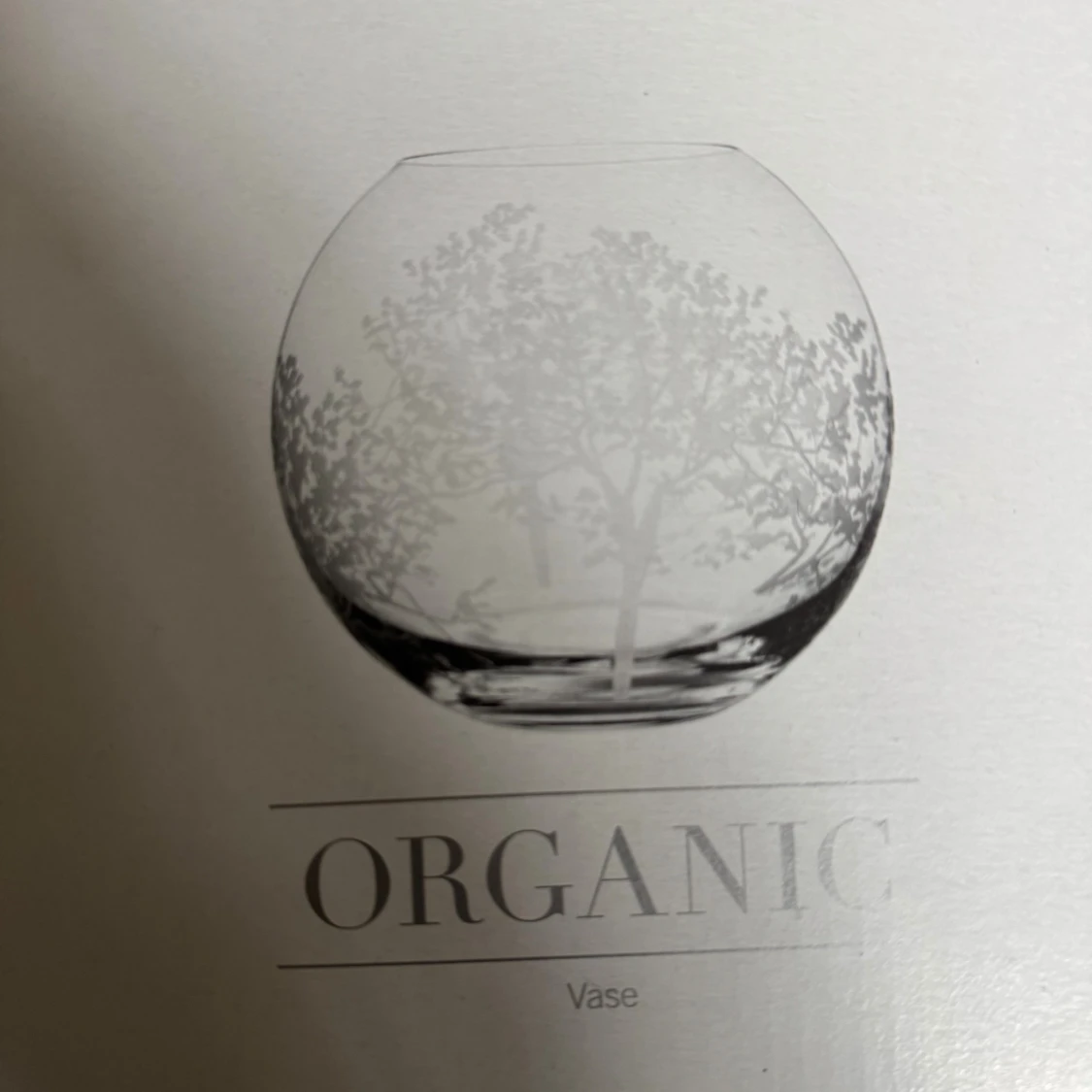 Orrefors Organic Vase - 1