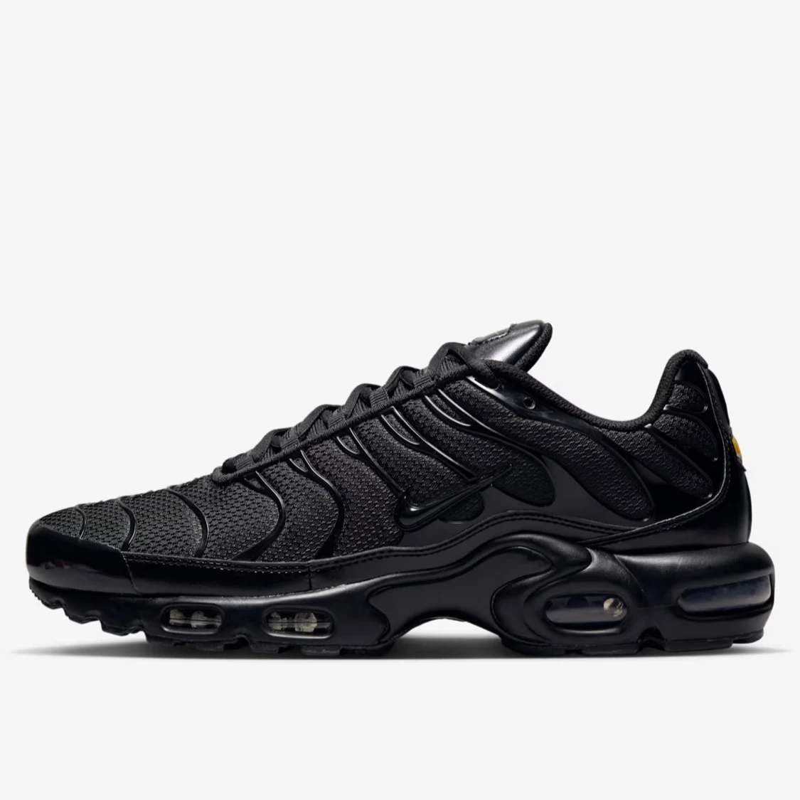 Nike Air Max Plus svarta sneakers