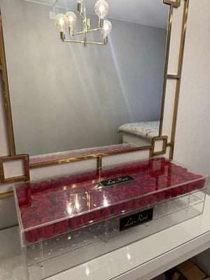 Ingen väst synlig på bilderna - Evighetsrosor. Helt nya 