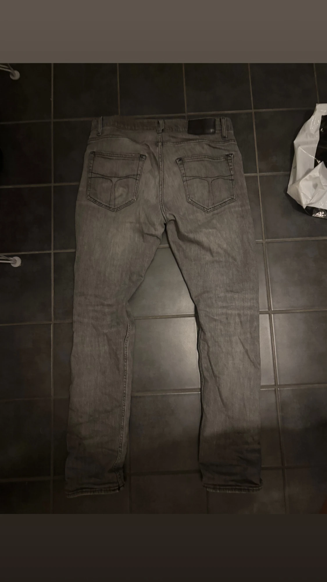 Gråa tiger of sweden - 1