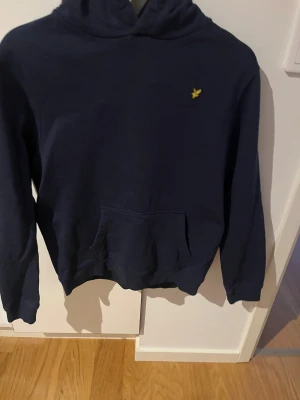 Fin blå tröja  - En fin tröja med bra skick 