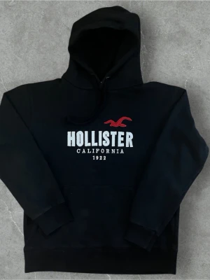 Hollister Hoddie - Hollister hoddie 