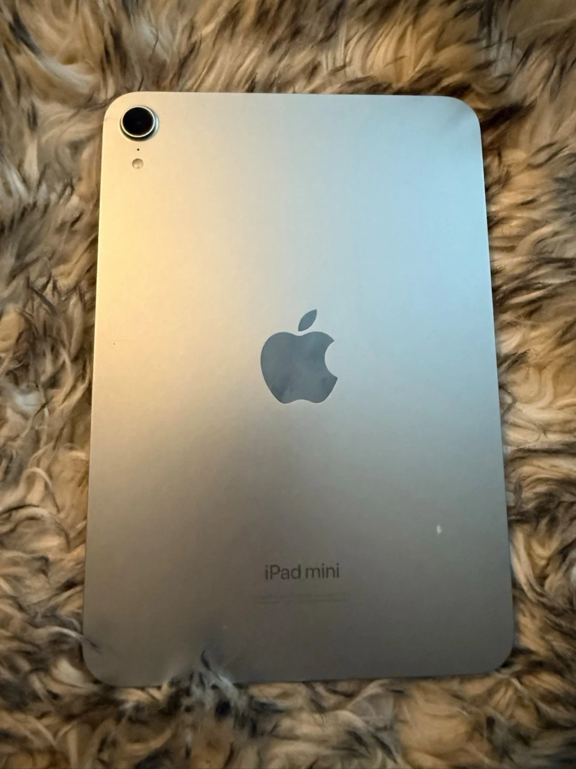 iPad mini - 2