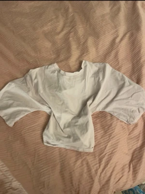 Ljusrosa topp med knytband - Säljer en ljusrosa  topp med vida ärmar och knytband i ryggen. Toppen har rund halsringning och är tillverkad i mjukt bomullstyg. Perfekt för dig som gillar en avslappnad men trendig stil.