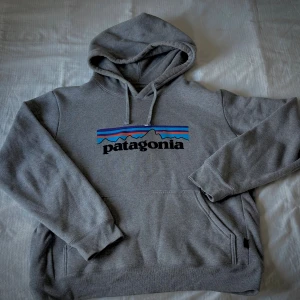  Patagonia hoodie - Säljer en grå hoodie från Patagonia med klassiskt logotryck.
