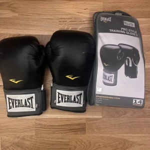 Everlast boxnings handskar  - Gammalt par inga skador 
