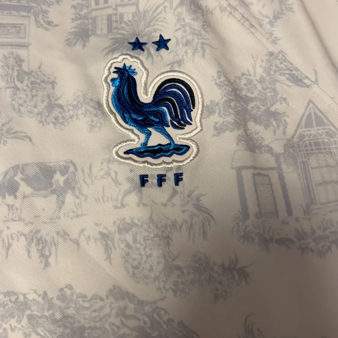 Fransk landslagströja - 2