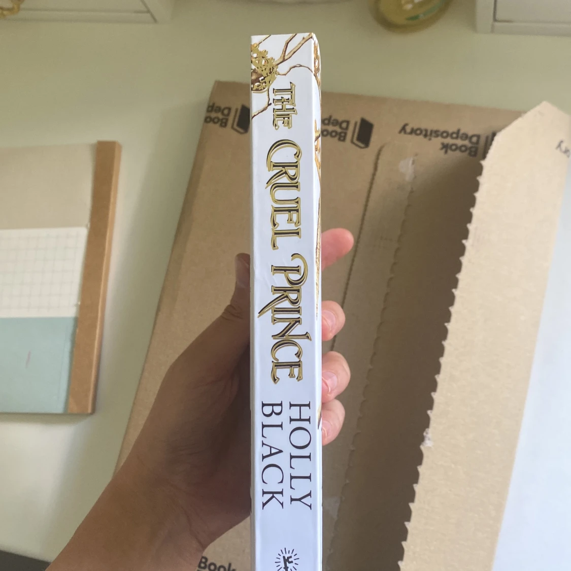 The cruel prince  - 91