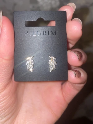 Örhänge från Pilgrim - Jag säljer de här helt oanvända örhängena från Pilgrim. Jag fick de i en födelsedagspresent ✨Inte äkta