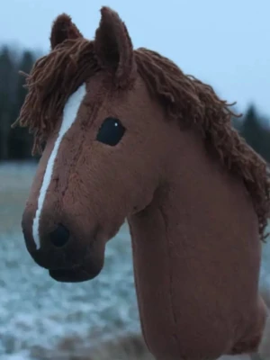 Käpphäst till salu - Nu är denna hästen vid namn Leon till salu för ett super bra pris. Inga hål eller så. Utrustning ingår till den. 