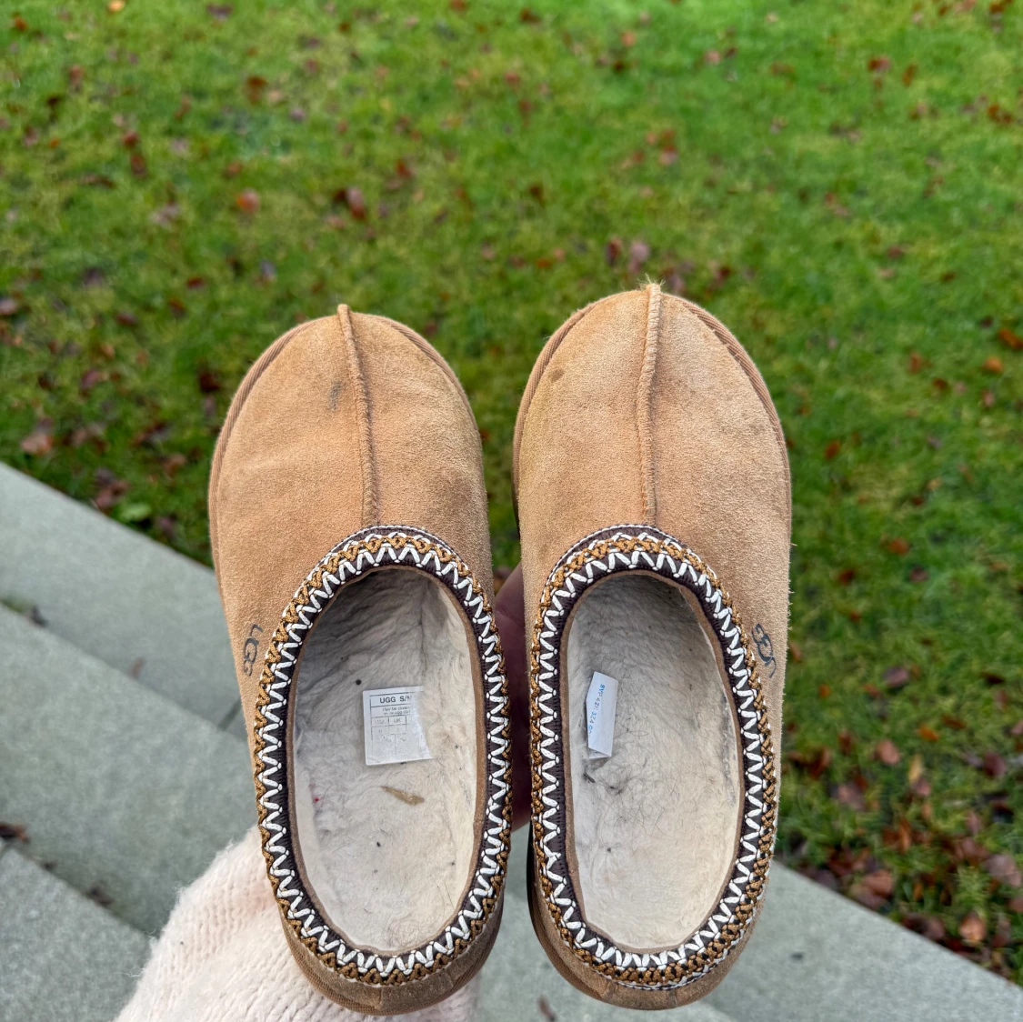 Tasman UGG Chestnut - 2