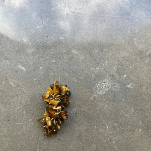 Brunt berlock med stenar - Unikt berlock med oregelbundna bruna och gyllene stenar, troligen tigeröga, trädda på metalltråd. Stenarna har en naturlig glans och ger ett coolt, bohemiskt intryck. Perfekt för dig som gillar naturmaterial och statement-accessoarer.