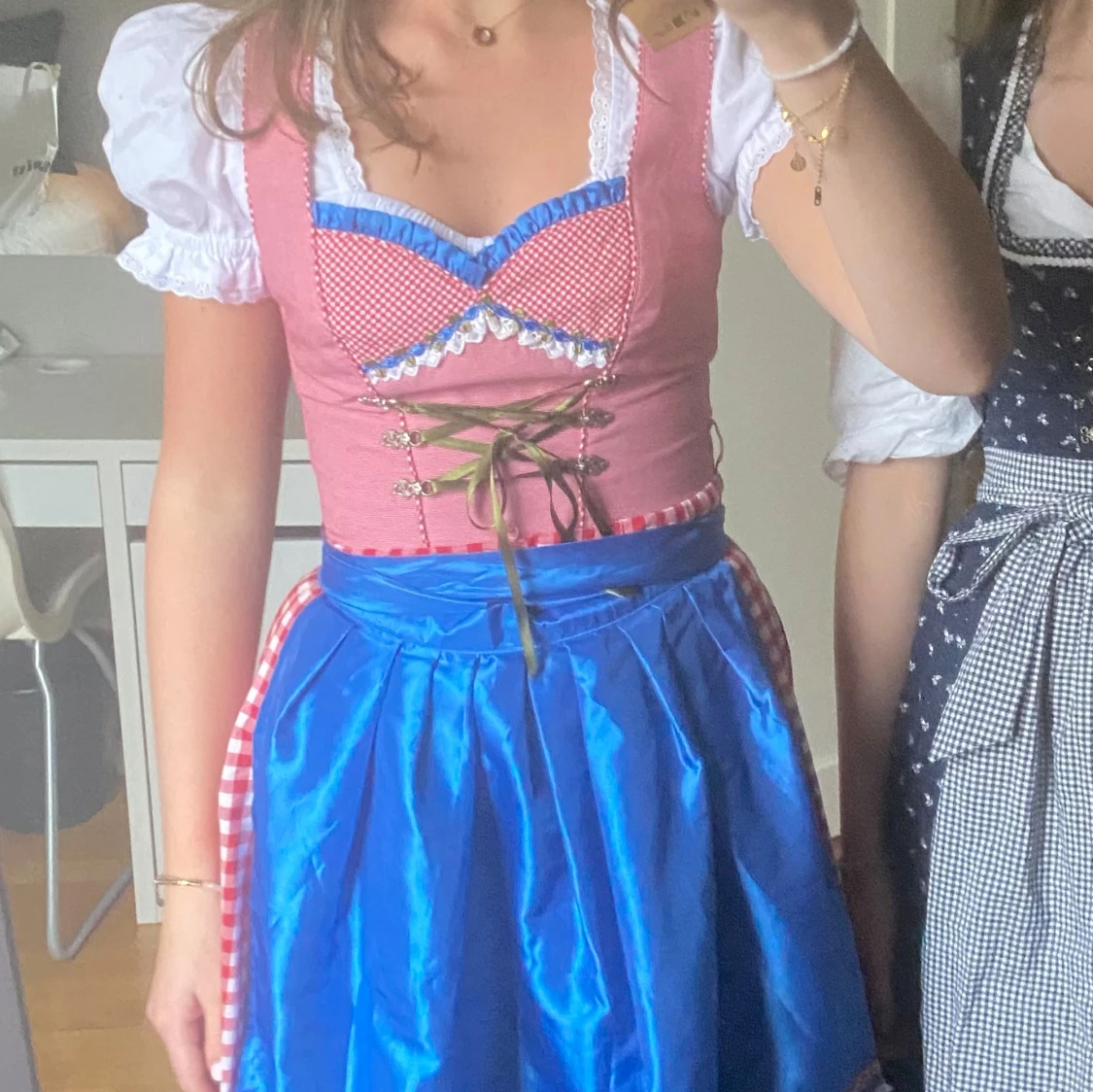 Rosa och blå dirndlklänning