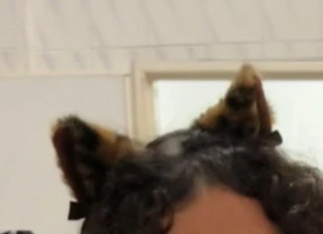 Leopardmönstrad pälsväst med rosetter - 1