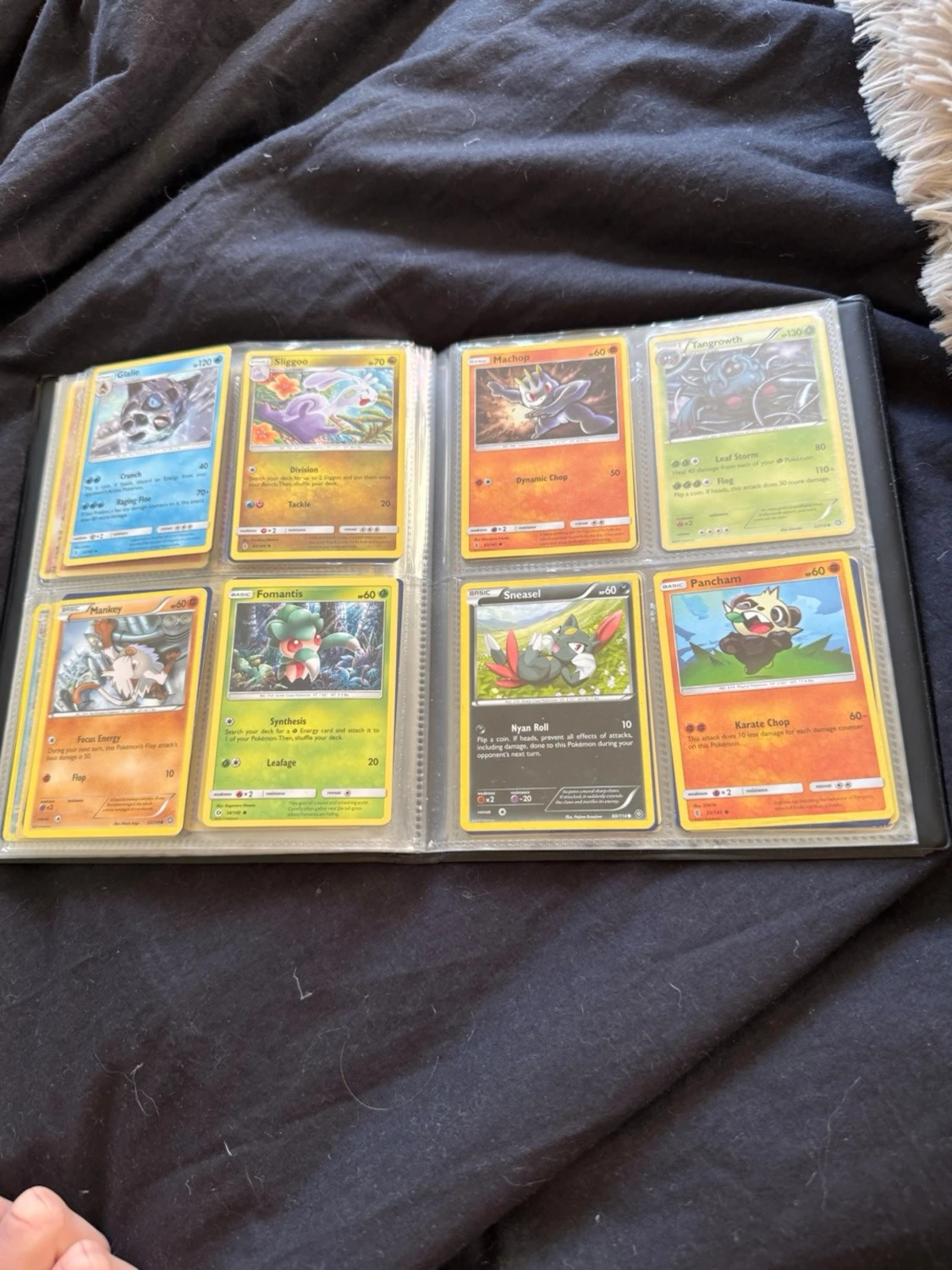 Pokéom kort och pärm - 3