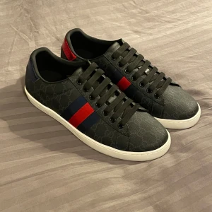 Gucci Ace - Helt nya, original box ingår. 