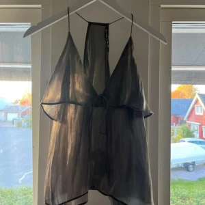 Snygg festlig topp - Snygg silvrig topp från Zara. Passar perfekt om du vill klä upp dig. Säljer dennna topp då den tyvärr aldrig har kommit till användning. Skriv om ni har några funderingar