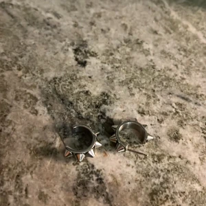 Silvriga örhängen med nitar - Skitsnygga runda, silvriga, örhängen med bitar på. De är i bra skick och används fåtal gånger 